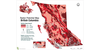 Radon BC Map